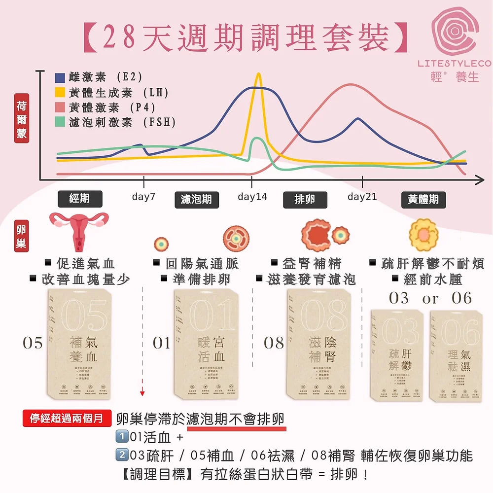 28天週期調理套裝|60茶包